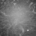 Webcam_20231214-073000