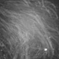 Webcam_20231214-074500