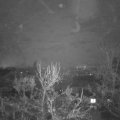 Webcam_20231214-083000