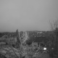 Webcam_20231214-084500