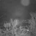 Webcam_20231215-053000