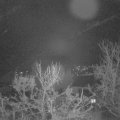 Webcam_20231215-060000
