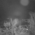 Webcam_20231215-061500