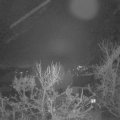 Webcam_20231215-063000