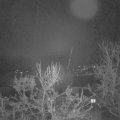 Webcam_20231216-051500
