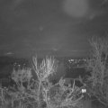 Webcam_20231216-081500