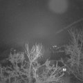 Webcam_20231217-064500