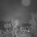 Webcam_20231220-063000
