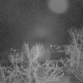 Webcam_20231222-050000