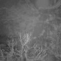Webcam_20231223-070000