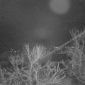 Webcam_20231223-081500