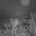 Webcam_20231225-080000