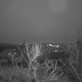 Webcam_20231225-180000