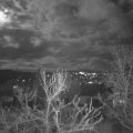 Webcam_20231226-200000