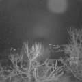 Webcam_20231228-053000