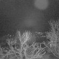 Webcam_20231228-071500