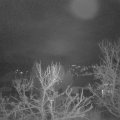 Webcam_20231229-051500