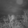 Webcam_20231230-051500