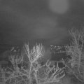 Webcam_20231230-053000