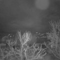Webcam_20231230-060000