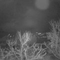 Webcam_20231230-074500