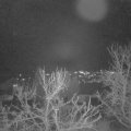 Webcam_20231230-184500