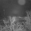 Webcam_20231230-201500