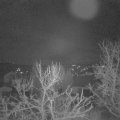 Webcam_20231231-061500