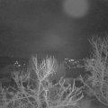 Webcam_20231231-073000