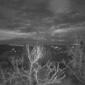 Webcam_20231231-083000