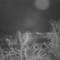 Webcam_20231231-200000