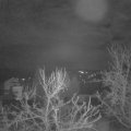 Webcam_20240101-050000