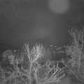 Webcam_20240101-051500