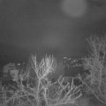 Webcam_20240101-054500