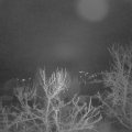 Webcam_20240101-061500