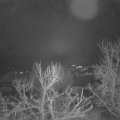 Webcam_20240101-073000