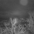 Webcam_20240101-083000