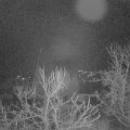 Webcam_20240102-050000