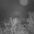 Webcam_20240102-051500