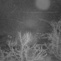 Webcam_20240102-054500