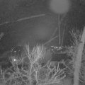 Webcam_20240102-081500