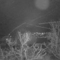 Webcam_20240102-183000
