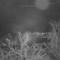 Webcam_20240102-190000
