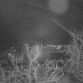 Webcam_20240102-191500
