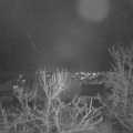 Webcam_20240102-193000