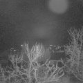 Webcam_20240103-050000