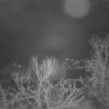 Webcam_20240103-051500
