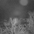 Webcam_20240103-054500