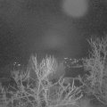 Webcam_20240103-060000
