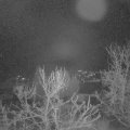 Webcam_20240103-061500